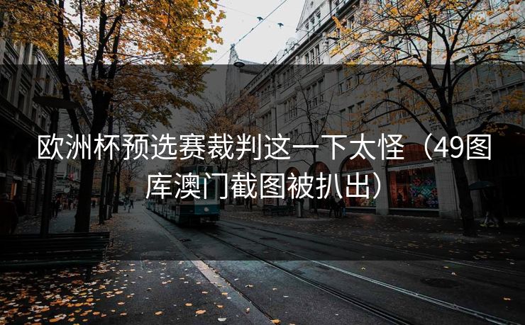 欧洲杯预选赛裁判这一下太怪（49图库澳门截图被扒出）